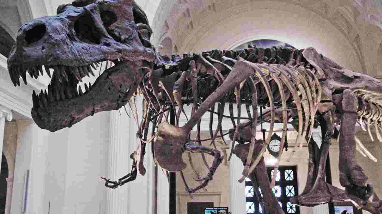 A Dinosaur Unearthed: Unveiling England's Most Complete Fossil in a ...